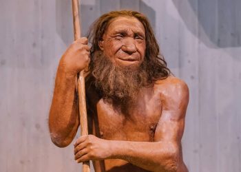 Neandertal - Créditos: depositphotos.com / frantic00