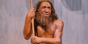 Neandertal - Créditos: depositphotos.com / frantic00
